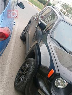 جيب رينيجيد